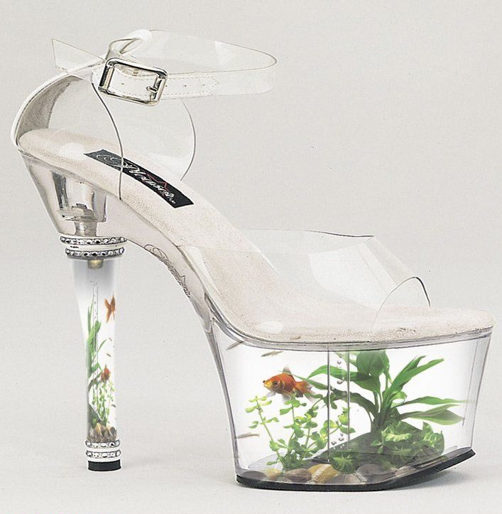 Aquarium Shoes 